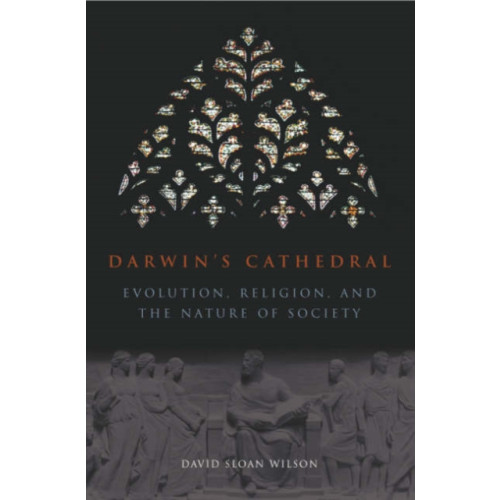 The university of chicago press Darwin`s Cathedral – Evolution, Religion, and the Nature of Society (häftad, eng)