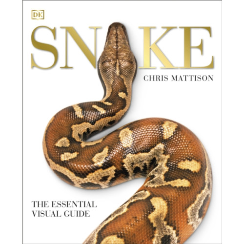 Dorling Kindersley Ltd Snake (häftad, eng)