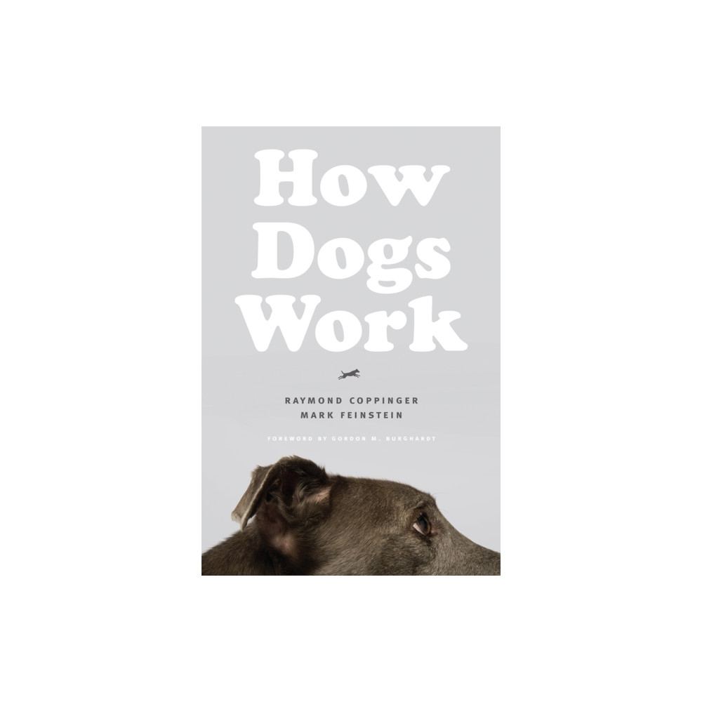 Produktbild för How Dogs Work (häftad, eng)