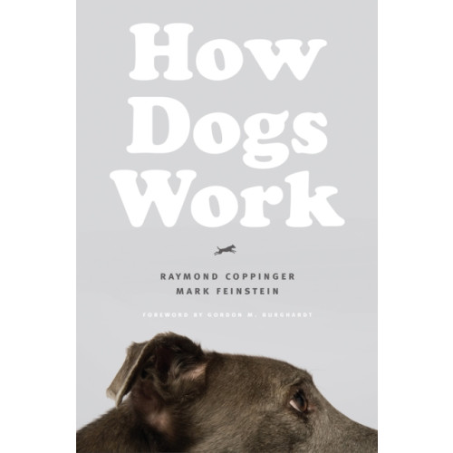 The university of chicago press How Dogs Work (häftad, eng)