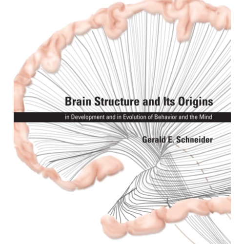 Mit press ltd Brain Structure and Its Origins (inbunden, eng)