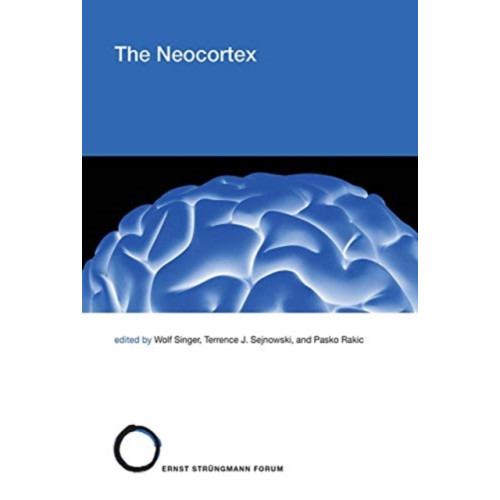 Mit press ltd The Neocortex (inbunden, eng)