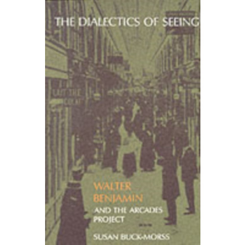 Mit press ltd The Dialectics of Seeing (häftad, eng)