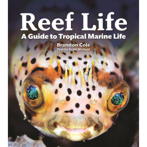 Firefly Books Ltd Reef Life (häftad, eng)