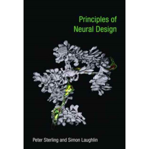 Mit press ltd Principles of Neural Design (häftad, eng)