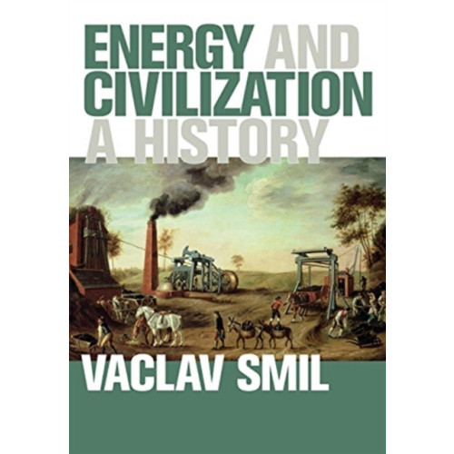 Mit press ltd Energy and Civilization (häftad, eng)