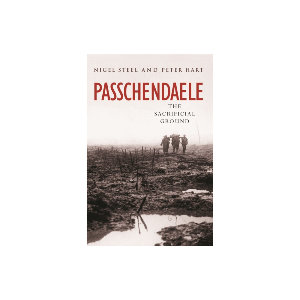 Produktbild för Passchendaele (häftad, eng)