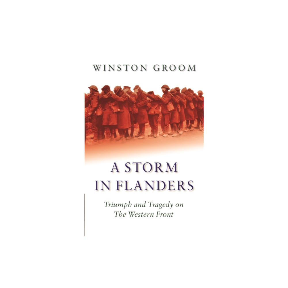 Produktbild för A Storm in Flanders (häftad, eng)