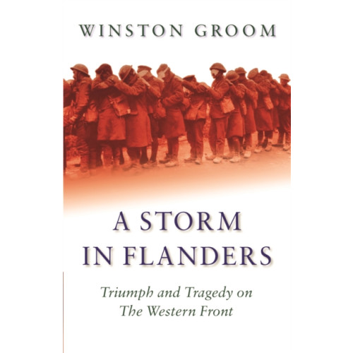 Orion Publishing Co A Storm in Flanders (häftad, eng)