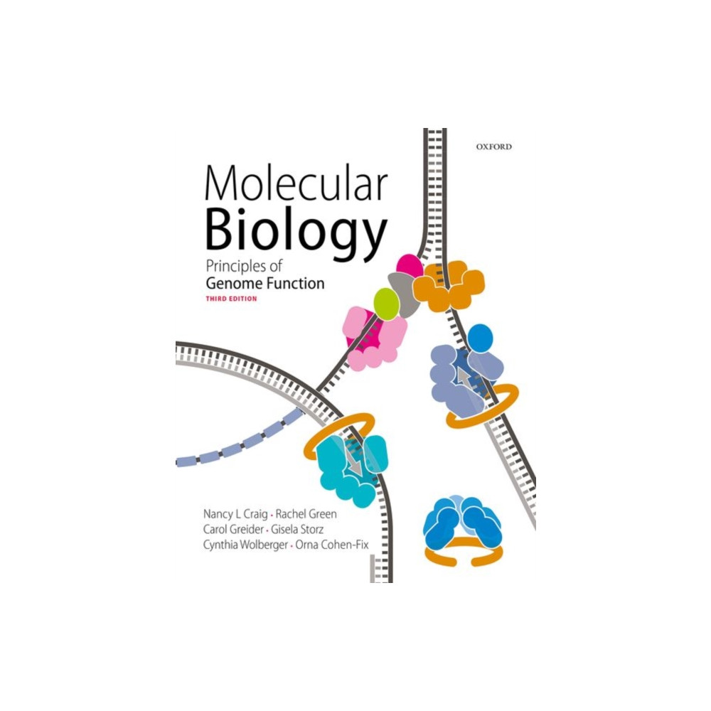 Produktbild för Molecular Biology (häftad, eng)