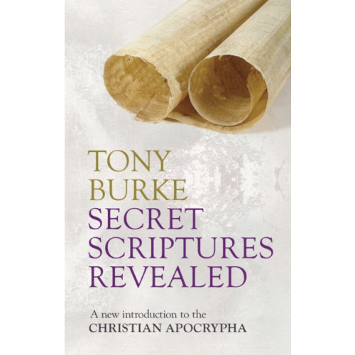 Spck publishing Secret Scriptures Revealed (häftad, eng)