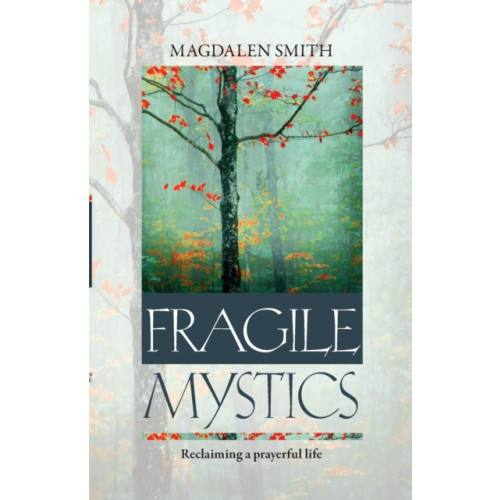 Spck publishing Fragile Mystics (häftad, eng)