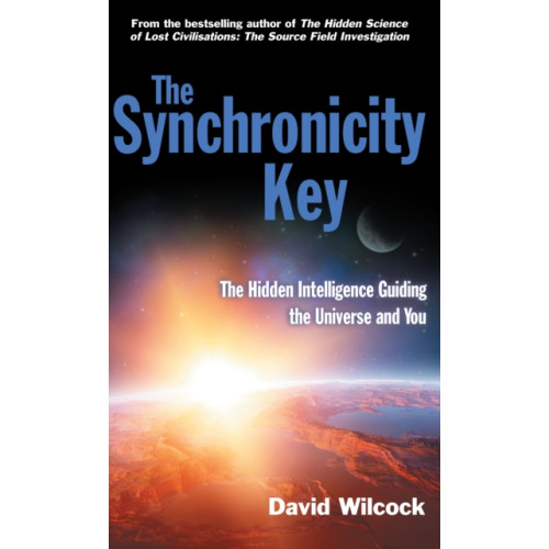 Profile Books Ltd The Synchronicity Key (häftad, eng)