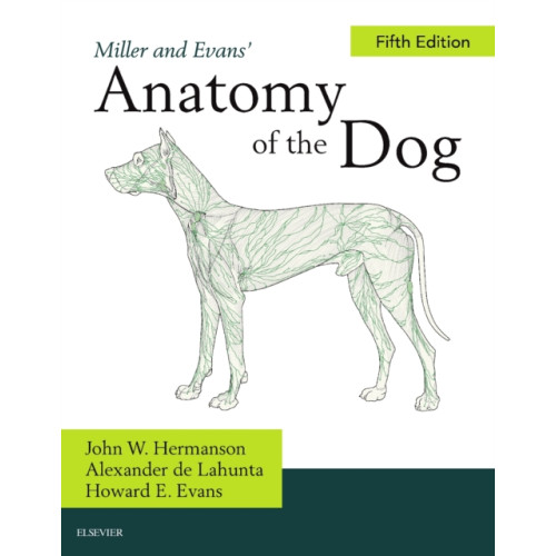 Elsevier - Health Sciences Division Miller's Anatomy of the Dog (inbunden, eng)