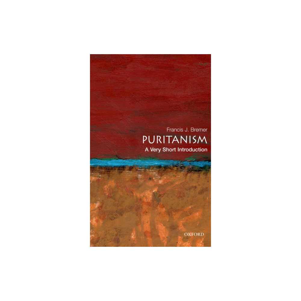 Produktbild för Puritanism (häftad, eng)