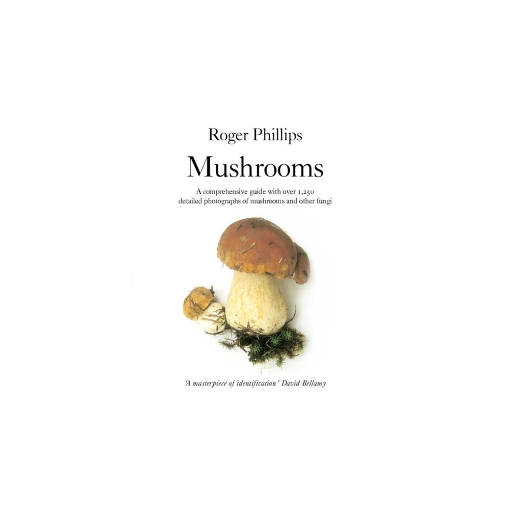 Produktbild för Mushrooms (häftad, eng)
