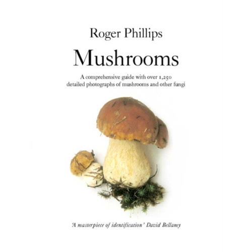 Pan Macmillan Mushrooms (häftad, eng)