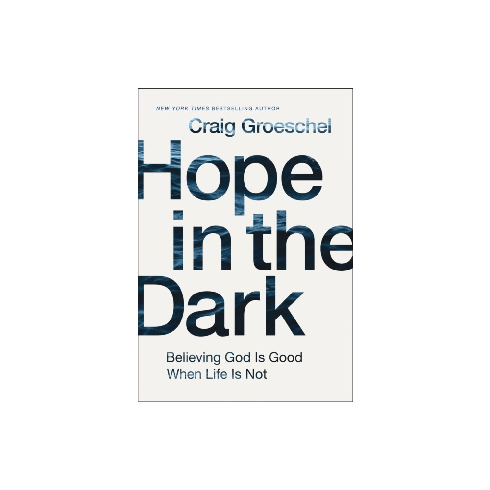 Produktbild för Hope in the Dark (häftad, eng)