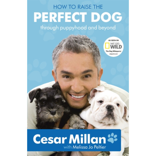 Hodder & Stoughton How to Raise the Perfect Dog (häftad, eng)