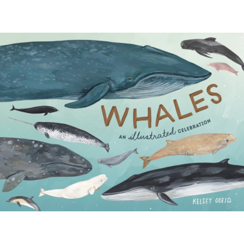 Ten Speed Press Whales (inbunden, eng)