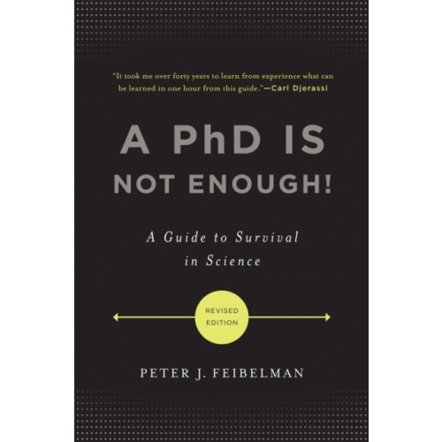 Basic Books A PhD Is Not Enough! (häftad, eng)