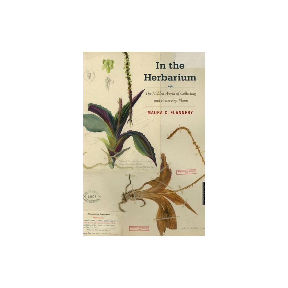 Produktbild för In the Herbarium (inbunden, eng)