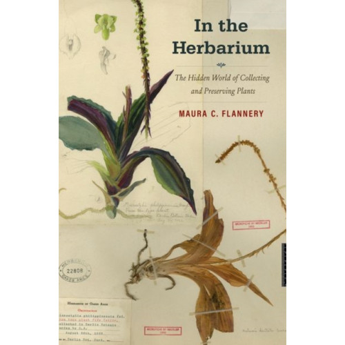 Yale university press In the Herbarium (inbunden, eng)