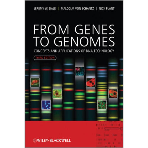 John Wiley & Sons Inc From Genes to Genomes (häftad, eng)