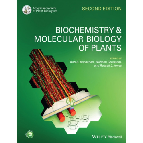 John Wiley & Sons Inc Biochemistry and Molecular Biology of Plants (häftad, eng)