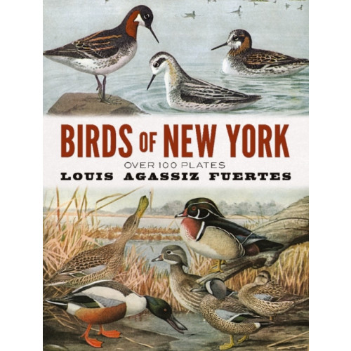 Dover publications inc. Birds of New York (häftad)