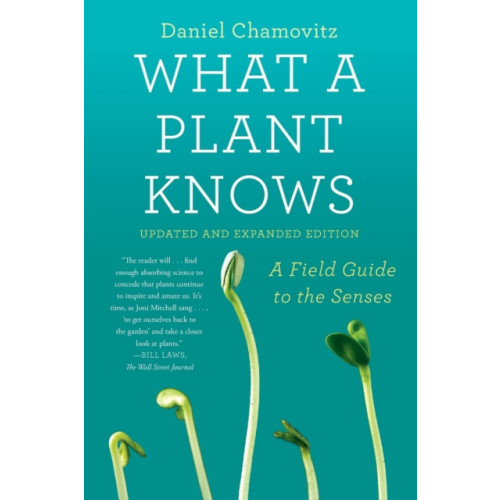 Farrar, Straus and Giroux What a Plant Knows (häftad, eng)