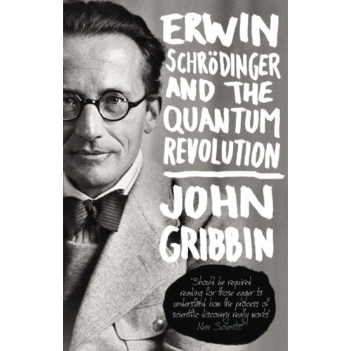 Transworld publishers ltd Erwin Schrodinger and the Quantum Revolution (häftad, eng)