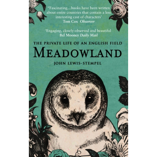 Transworld publishers ltd Meadowland (häftad, eng)