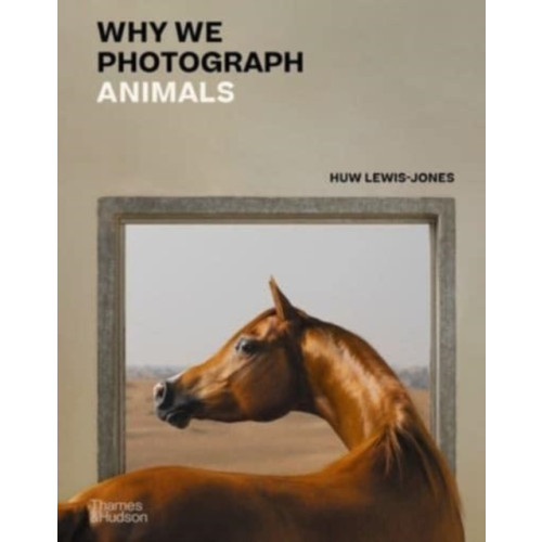 Thames & Hudson Ltd Why We Photograph Animals (inbunden, eng)