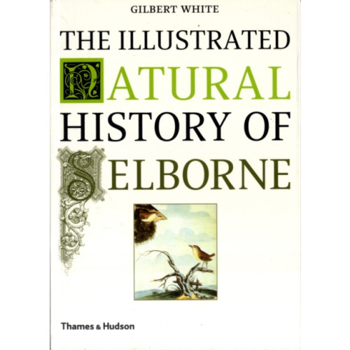 Thames & Hudson Ltd The Illustrated Natural History of Selborne (häftad, eng)