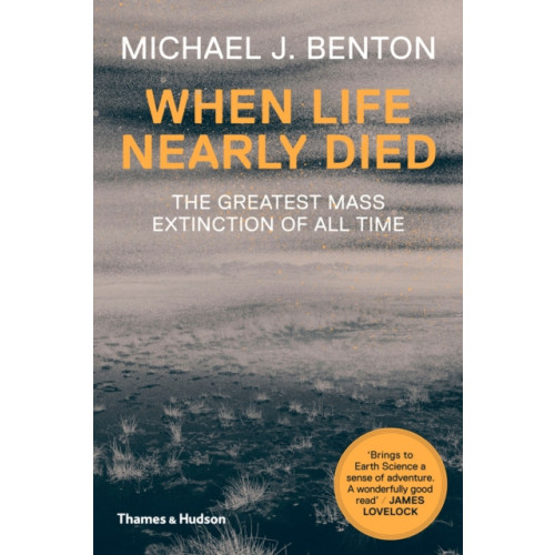 Thames & Hudson Ltd When Life Nearly Died (häftad, eng)