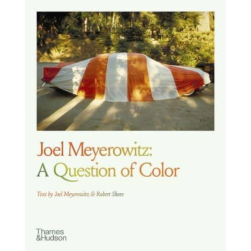 Thames & Hudson Ltd Joel Meyerowitz: A Question of Color (häftad, eng)