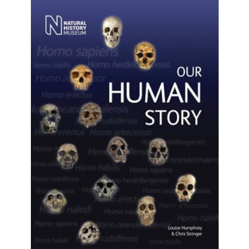 The Natural History Museum Our Human Story (häftad, eng)