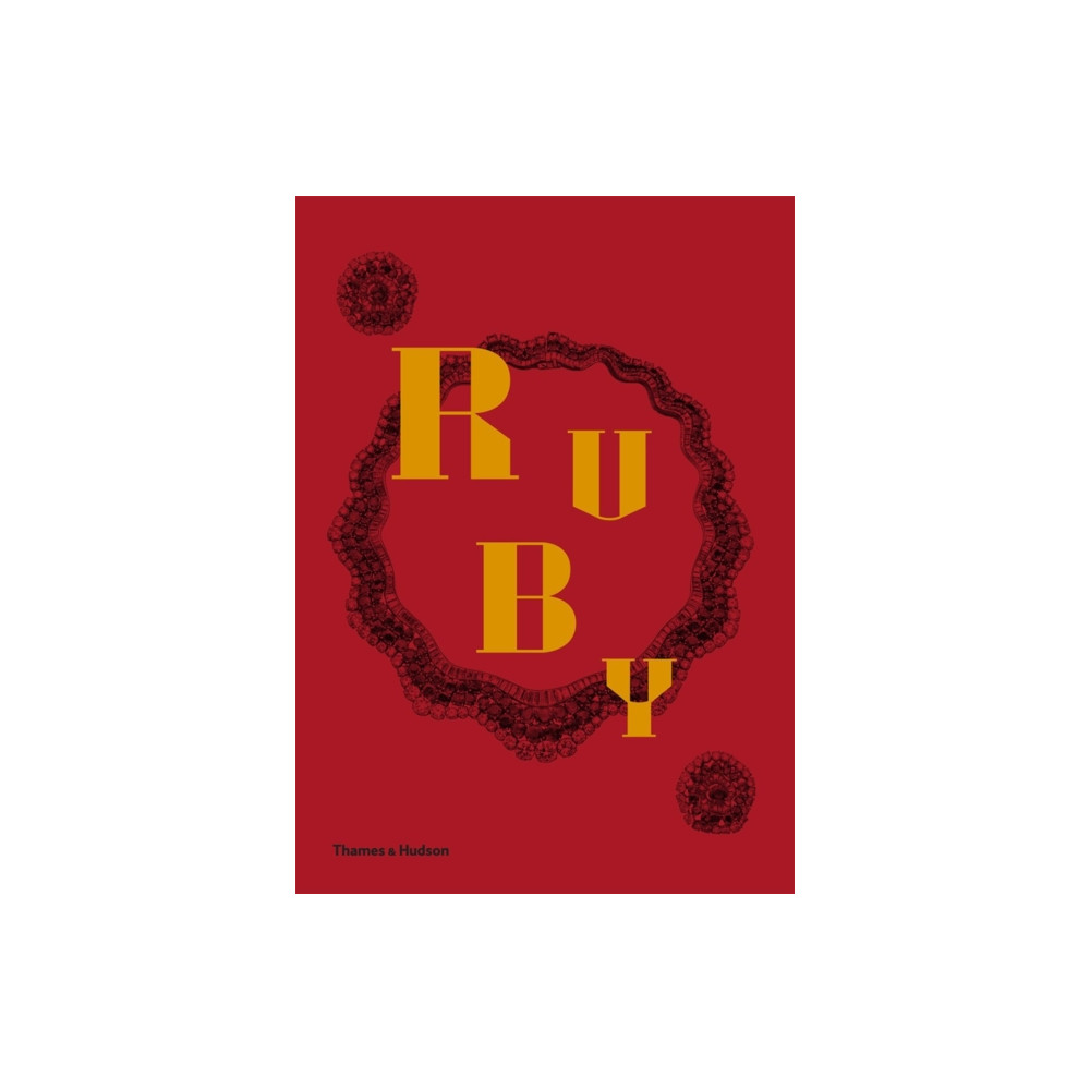Produktbild för Ruby (inbunden, eng)