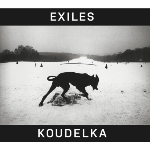 Thames & Hudson Ltd Josef Koudelka: Exiles (inbunden, eng)