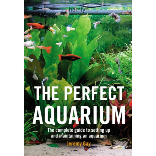 Octopus publishing group The Perfect Aquarium (häftad, eng)