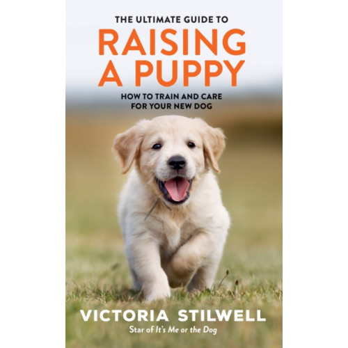 Octopus publishing group The Ultimate Guide to Raising a Puppy (häftad, eng)