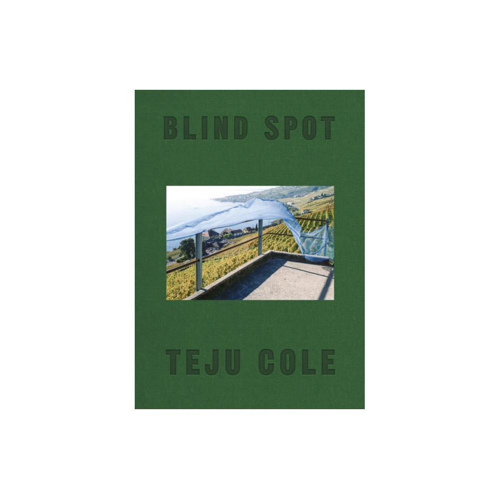 Produktbild för Blind Spot (inbunden, eng)