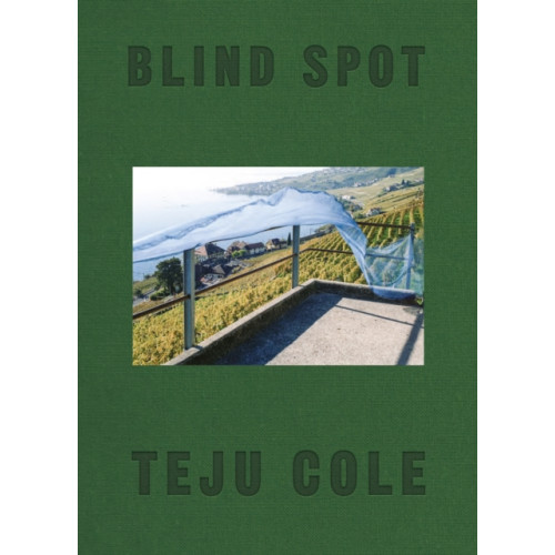 Faber & Faber Blind Spot (inbunden, eng)