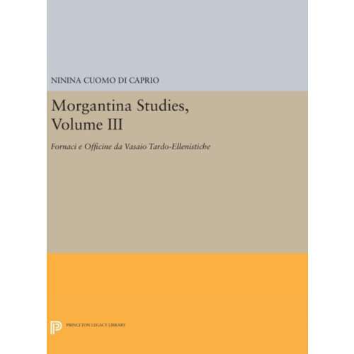 Princeton University Press Morgantina Studies, Volume III (inbunden, eng)