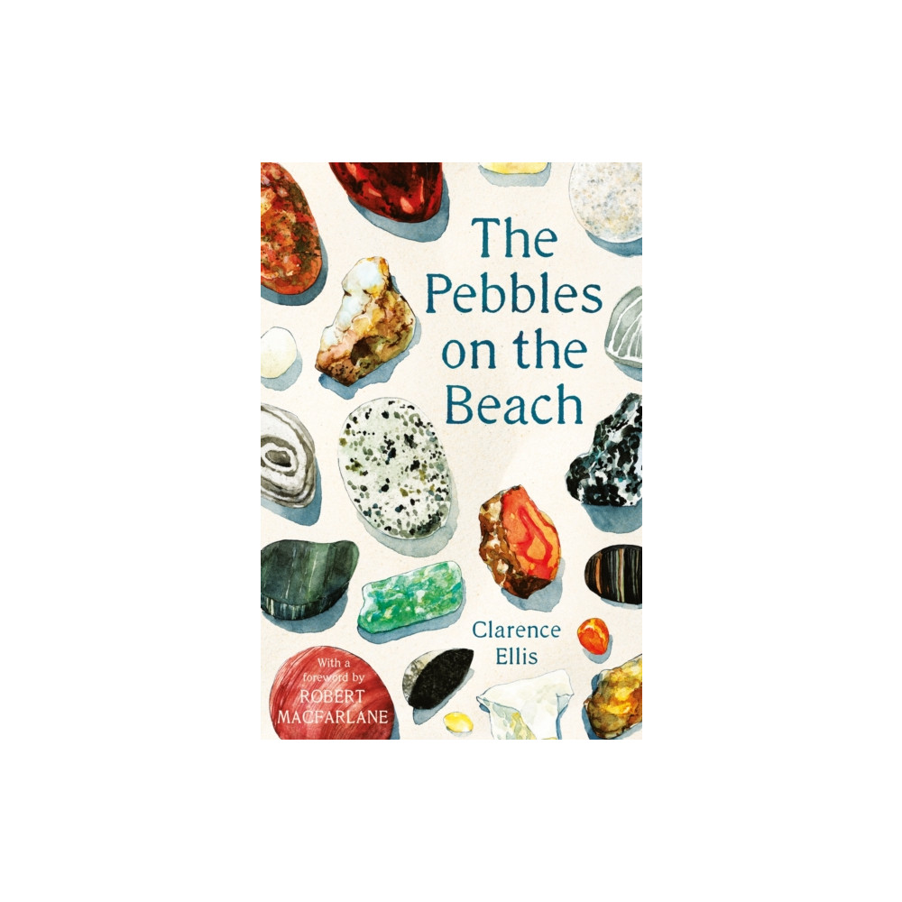 Produktbild för The Pebbles on the Beach (häftad, eng)