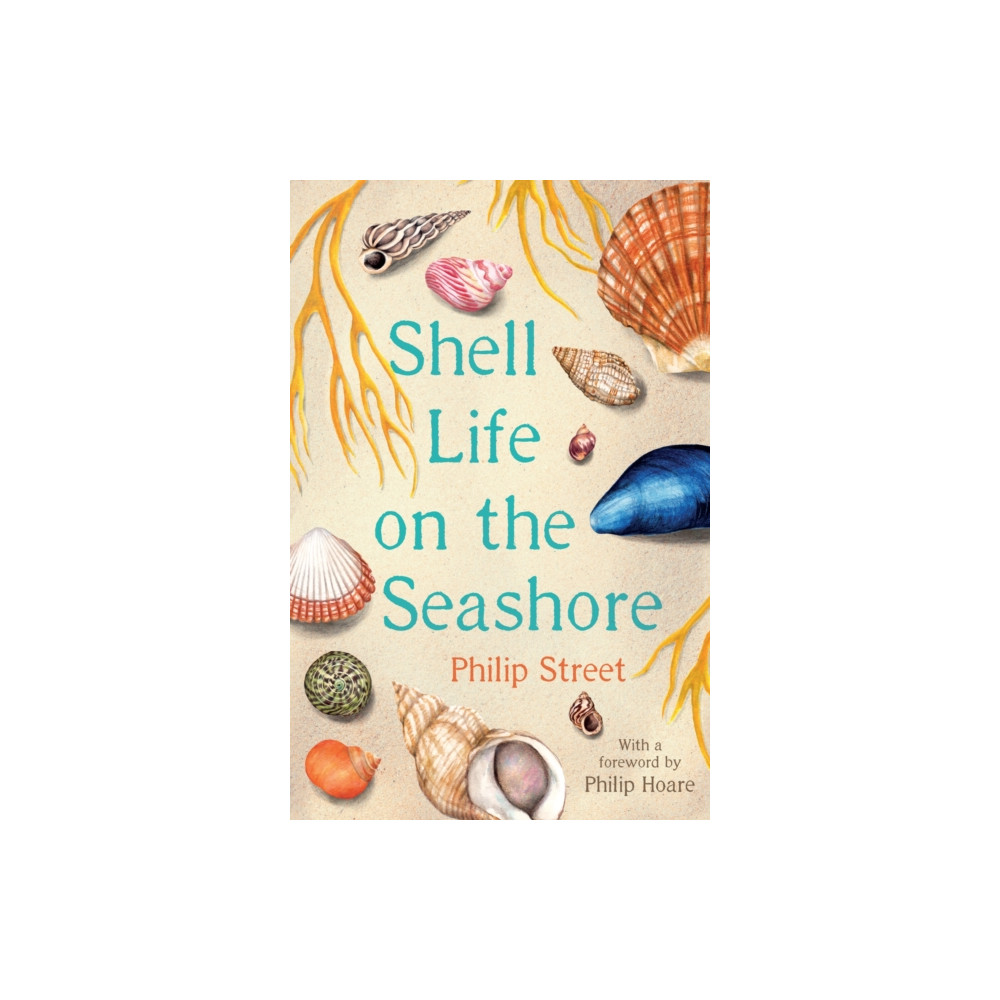 Produktbild för Shell Life on the Seashore (häftad, eng)