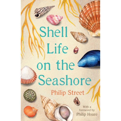 Faber & Faber Shell Life on the Seashore (häftad, eng)