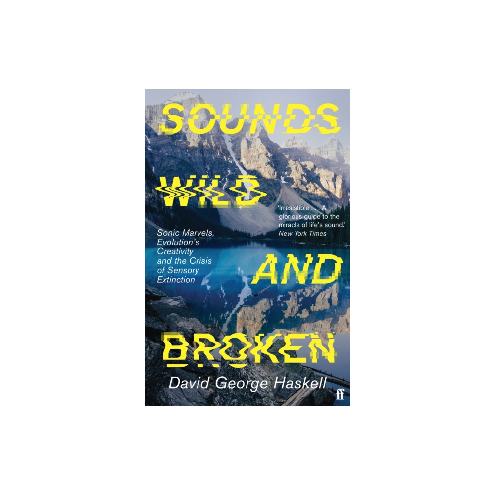 Produktbild för Sounds Wild and Broken (häftad, eng)