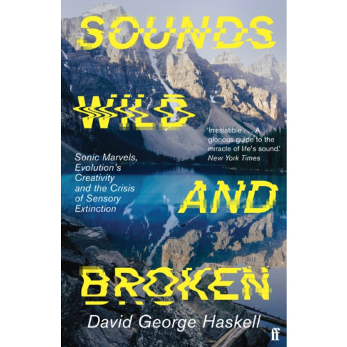 Faber & Faber Sounds Wild and Broken (häftad, eng)